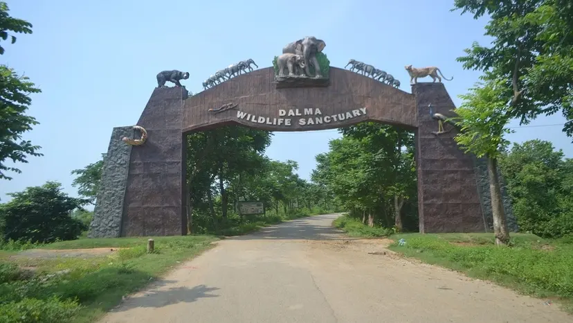 Dalma Wildlife (Jamshedpur)